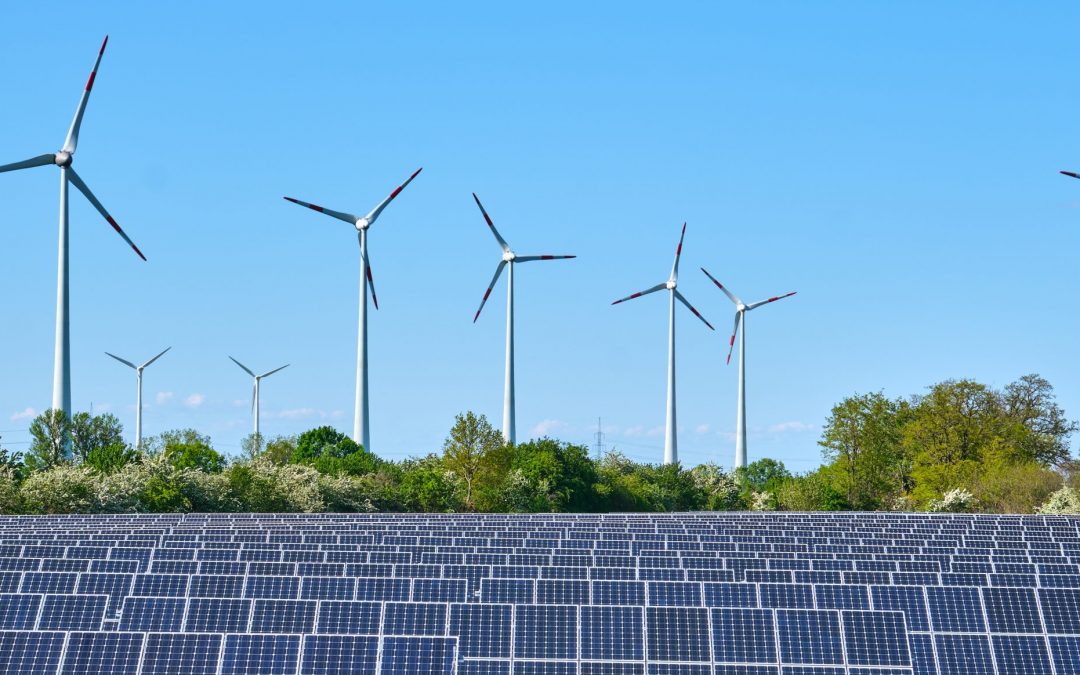 La necesidad de debida diligencia en las energías renovables